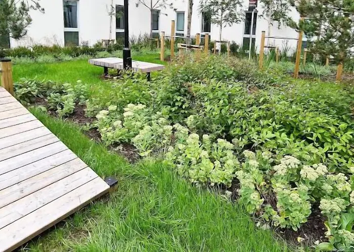 Destiny Student - Parkgate (adults Only) *