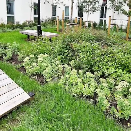 Destiny Student - Parkgate (adults Only) *